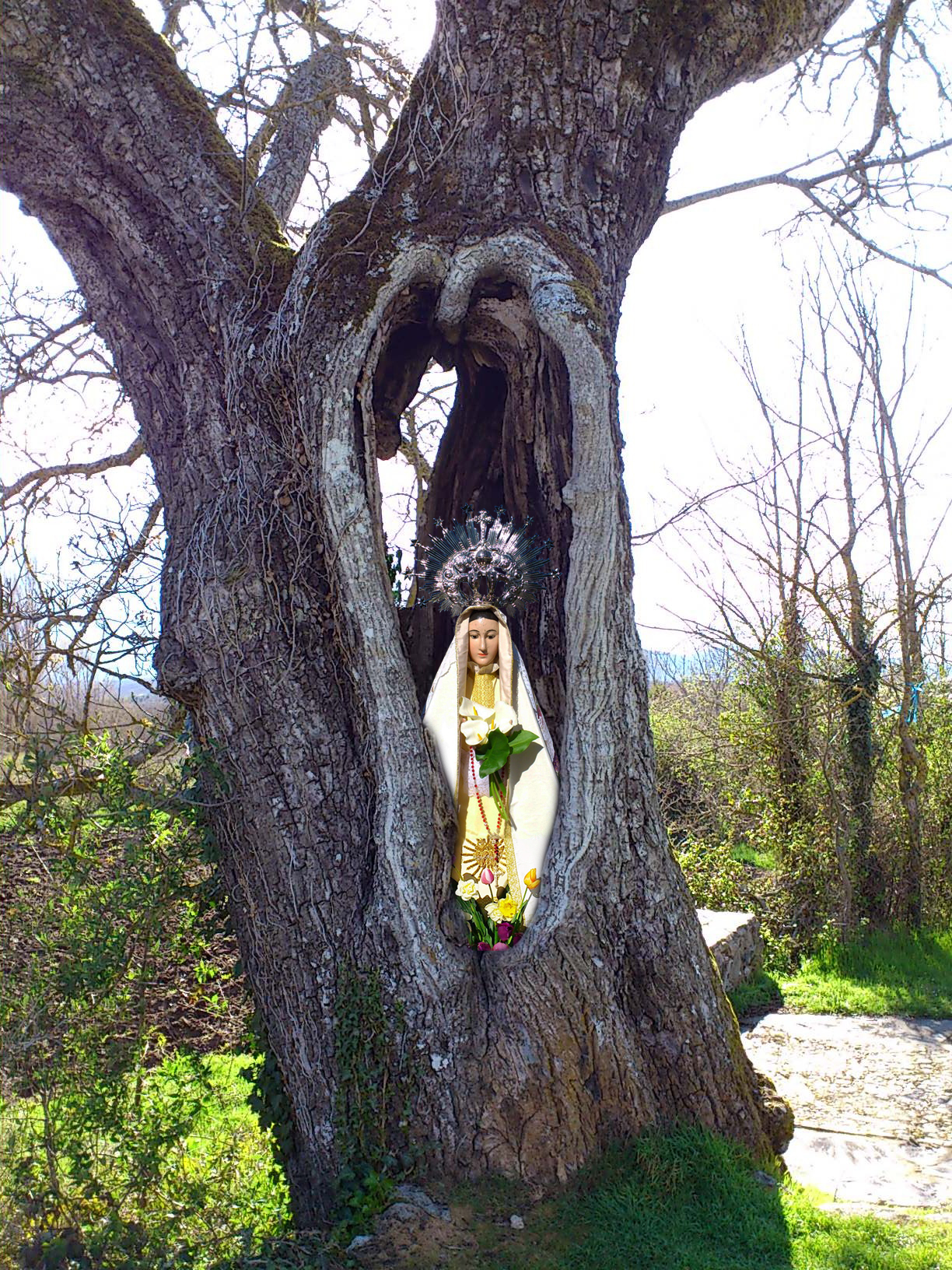 virgen del mensegal en un precioso nogal